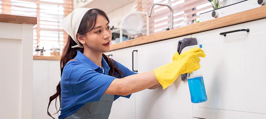 One-day cleaning services in UAE